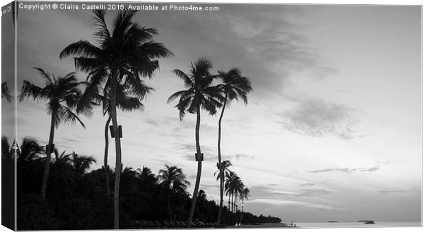  Paradise in mono Canvas Print by Claire Castelli