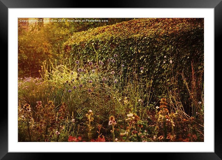  Country Garden Framed Mounted Print by LIZ Alderdice