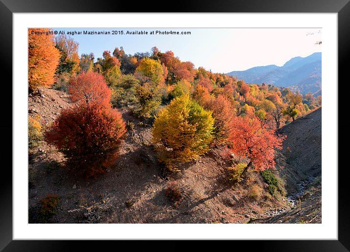  Autumn colors, Framed Mounted Print by Ali asghar Mazinanian