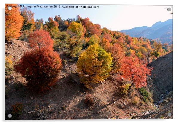  Autumn colors, Acrylic by Ali asghar Mazinanian