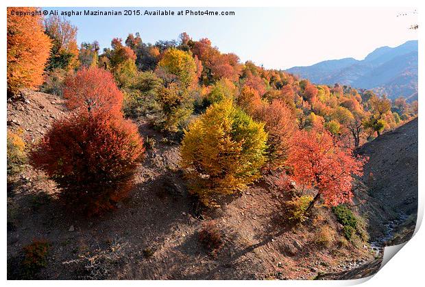  Autumn colors, Print by Ali asghar Mazinanian