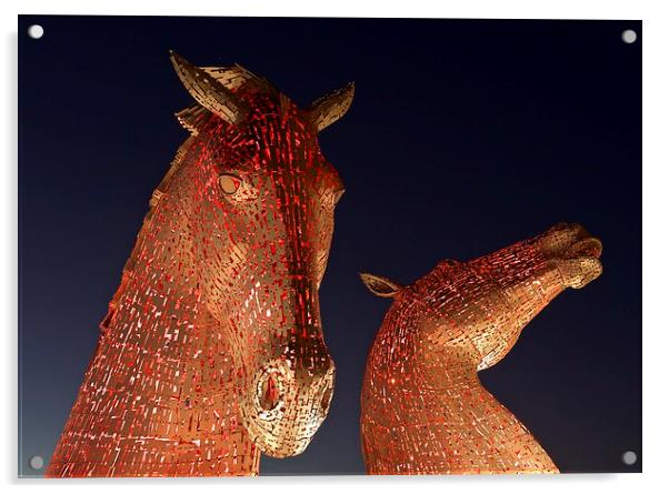  The Kelpies at night Acrylic by Stephen Taylor