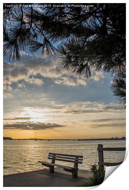 Evening Hill, Poole Harbour Print by Phil Wareham