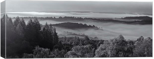 Mist over the Queen Elizabeth Forest  Canvas Print by Stephen Taylor