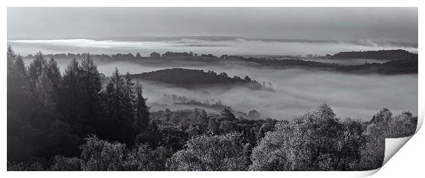 Mist over the Queen Elizabeth Forest  Print by Stephen Taylor