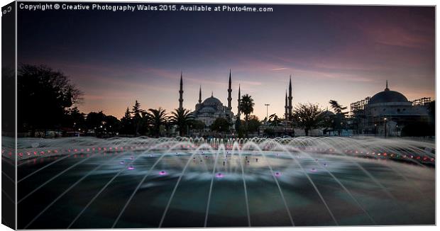 Aya Sofia in Istanbul, Turkey Canvas Print by Creative Photography Wales