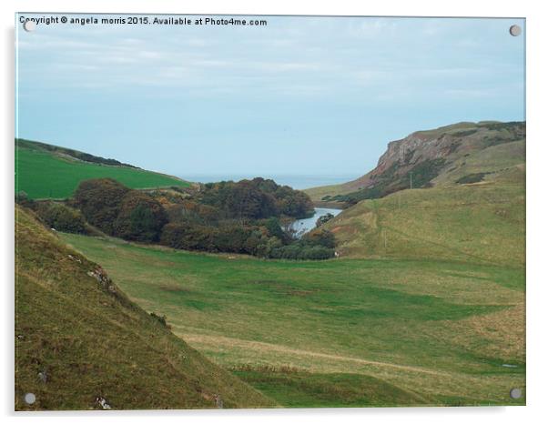  St Abbs Head Acrylic by angela morris