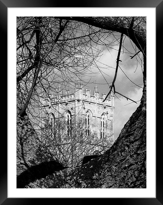 Religious tree in black and white Framed Mounted Print by Chris Day