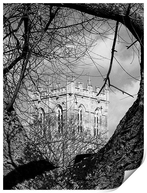 Religious tree in black and white Print by Chris Day