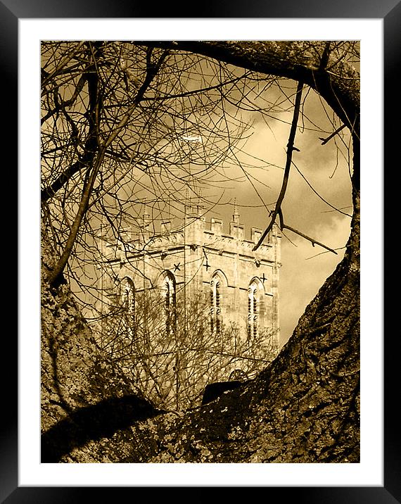 Religious tree in Sepia Framed Mounted Print by Chris Day