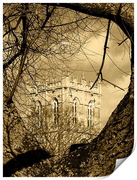 Religious tree in Sepia Print by Chris Day