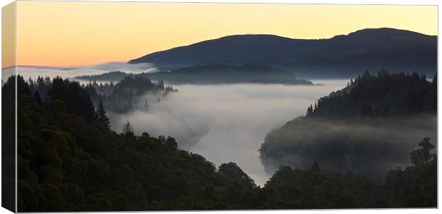  Dawn in the Queen Elizabeth forest Canvas Print by Stephen Taylor