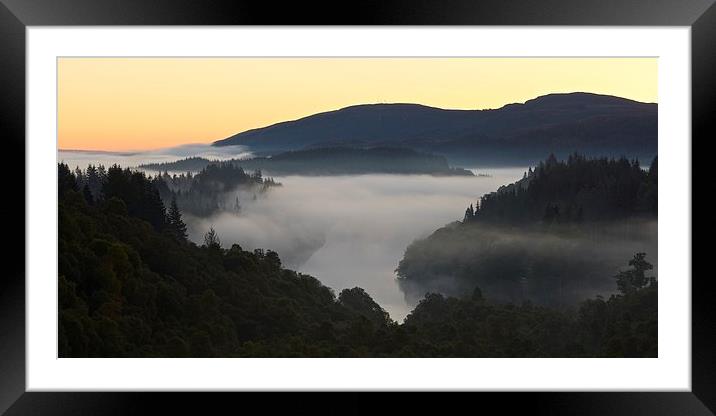  Dawn in the Queen Elizabeth forest Framed Mounted Print by Stephen Taylor