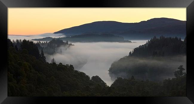  Dawn in the Queen Elizabeth forest Framed Print by Stephen Taylor