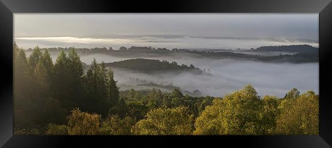  Autumn mist in the Trossacha Framed Print by Stephen Taylor