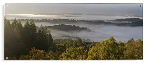  Autumn mist in the Trossacha Acrylic by Stephen Taylor