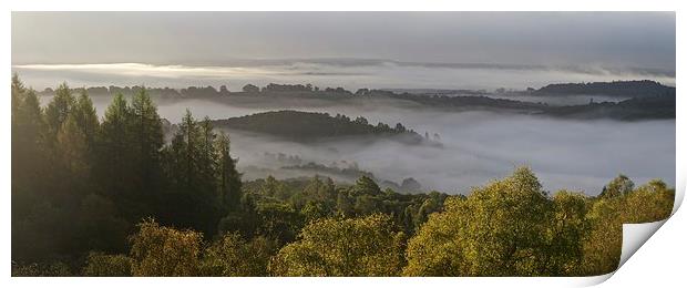  Autumn mist in the Trossacha Print by Stephen Taylor