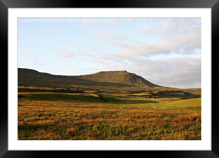 Ingleborough in Early Morning Sunlight Framed Mounted Print by Paul Williams