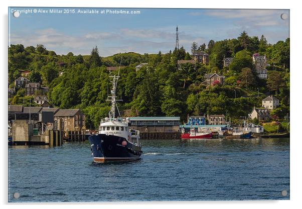  Oban Harbour Acrylic by Alex Millar