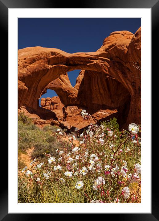 Double Arch Framed Mounted Print by Thomas Schaeffer
