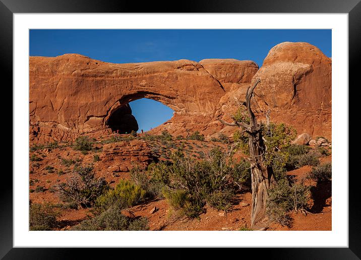 North Window Framed Mounted Print by Thomas Schaeffer