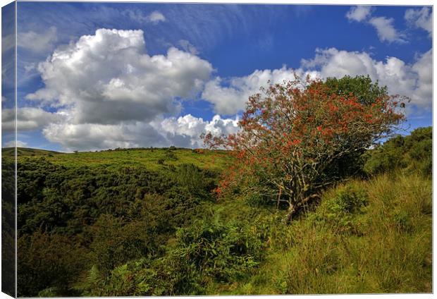 Exmoor At Its Best Canvas Print by Mike Gorton
