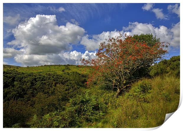 Exmoor At Its Best Print by Mike Gorton