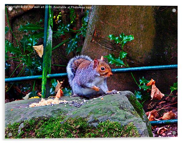  squirrell feeding Acrylic by Derrick Fox Lomax