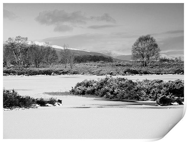  Across Rannoch Moor Print by Laura McGlinn Photog