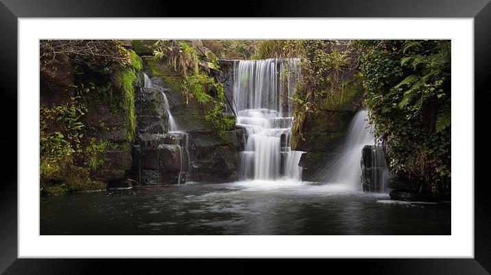  Penllergare Nature Reserve Framed Mounted Print by Leighton Collins