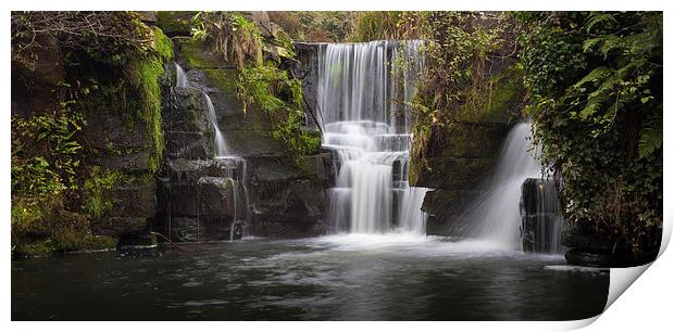  Penllergare Nature Reserve Print by Leighton Collins