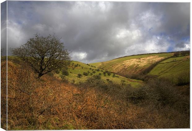 Exmoor Valley Canvas Print by Mike Gorton