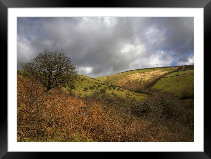 Exmoor Valley Framed Mounted Print by Mike Gorton