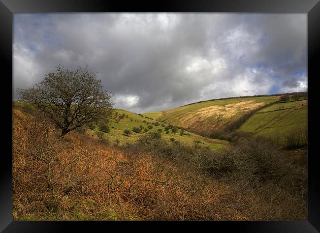 Exmoor Valley Framed Print by Mike Gorton