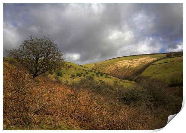 Exmoor Valley Print by Mike Gorton