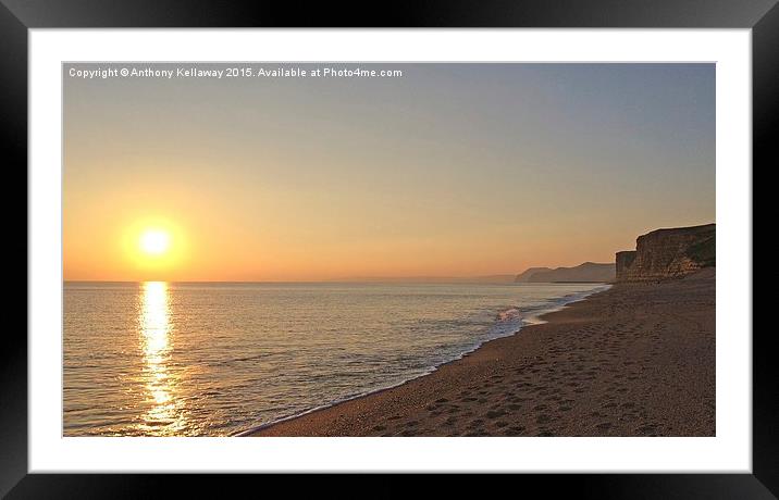  WEST BAY SUNSET Framed Mounted Print by Anthony Kellaway
