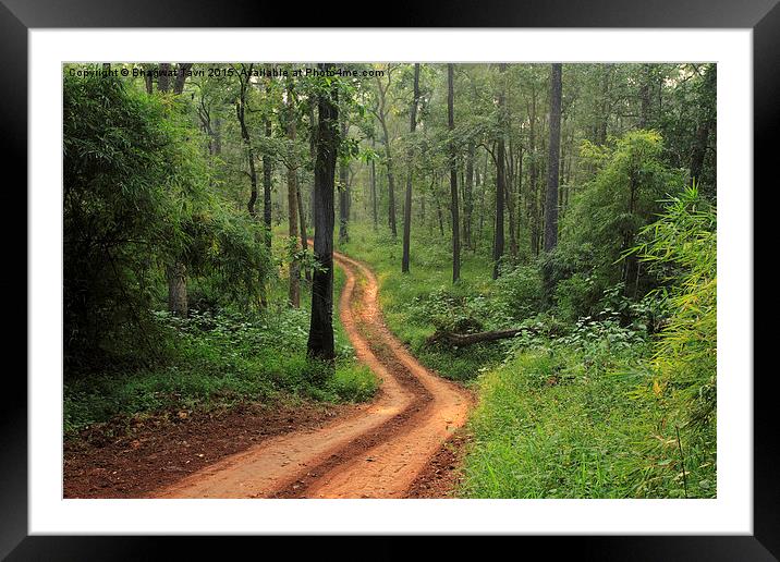  Nature's Trail.... Framed Mounted Print by Bhagwat Tavri