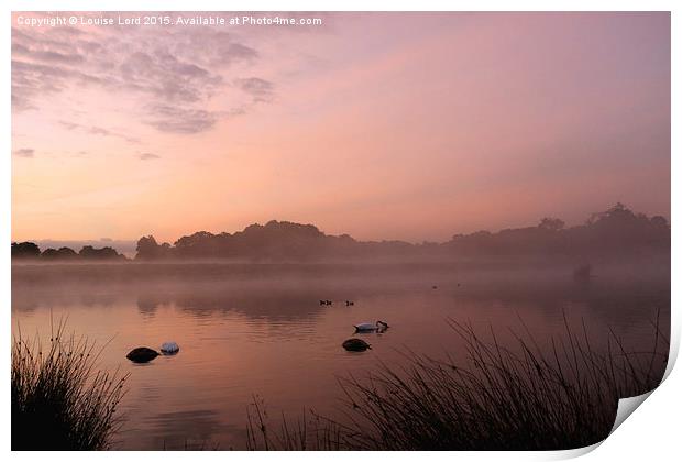  Misty Dawn Print by Louise Lord