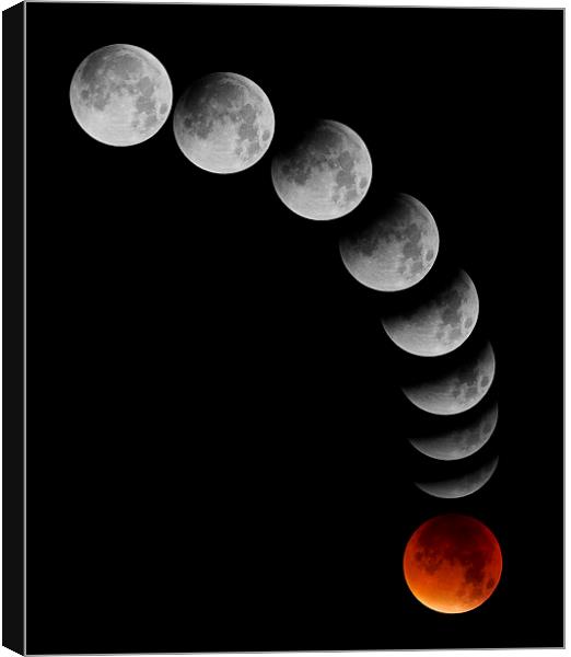 Lunar Eclipse Montage Canvas Print by mark humpage