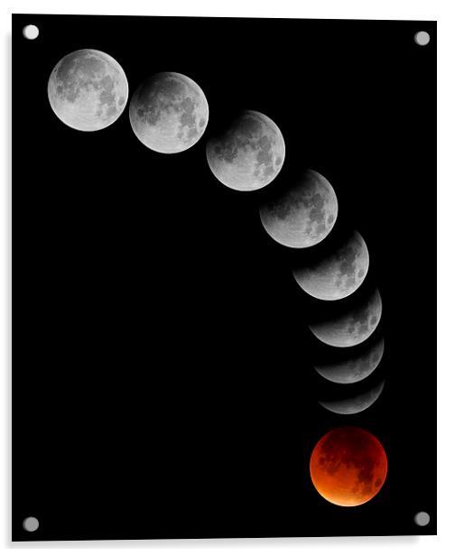  Lunar Eclipse Montage Acrylic by mark humpage