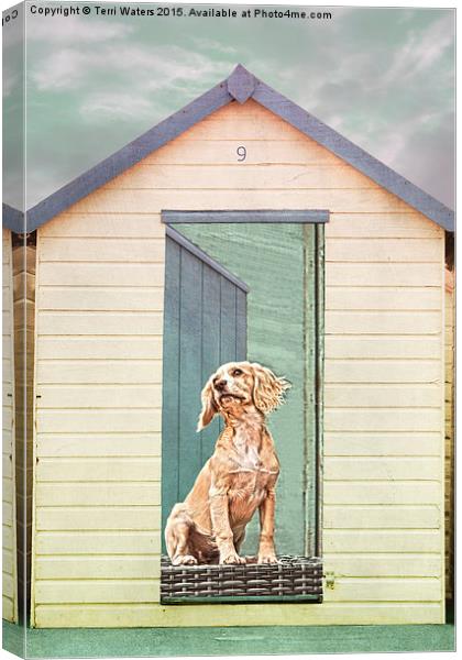 Beach Hut Puppy Canvas Print by Terri Waters