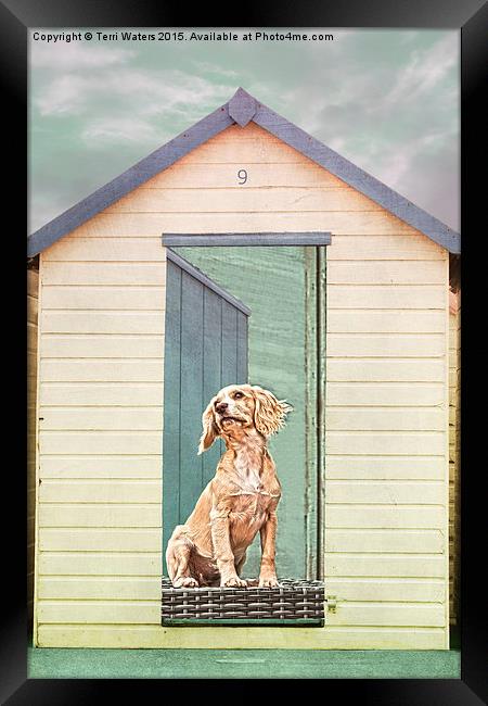 Beach Hut Puppy Framed Print by Terri Waters