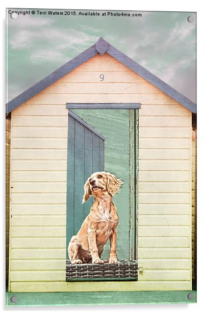 Beach Hut Puppy Acrylic by Terri Waters