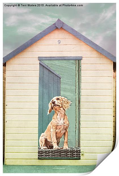 Beach Hut Puppy Print by Terri Waters