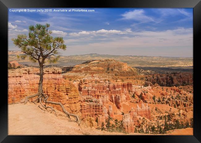Bryce Canyon, Utah USA Framed Print by Super Jolly