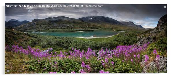 Landscapes, Abisko National Park, Lapland Acrylic by Creative Photography Wales