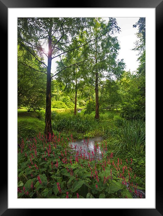 Marwood Garden Framed Mounted Print by Mike Gorton