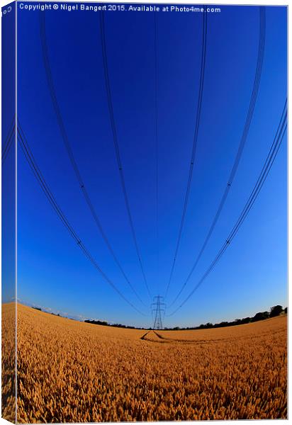  Pylon Canvas Print by Nigel Bangert