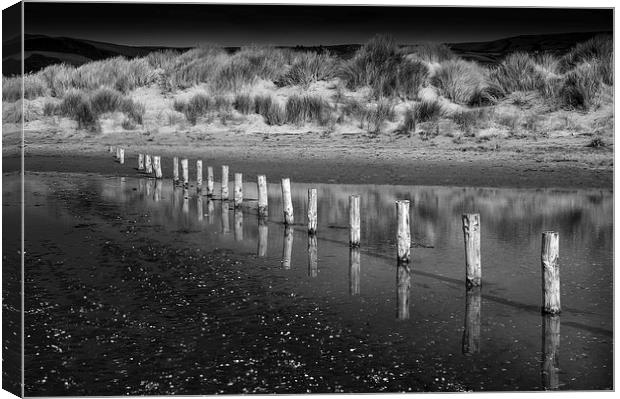  Posts and dunes at Borth beach, Wales Canvas Print by Andrew Kearton