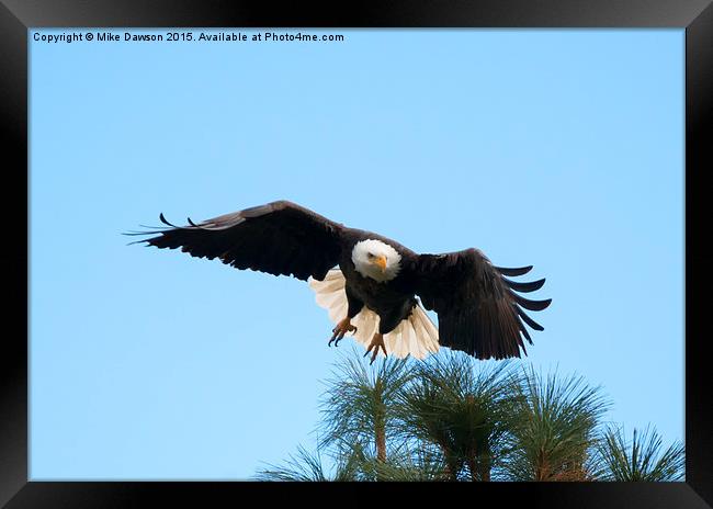 Take to the Air Framed Print by Mike Dawson